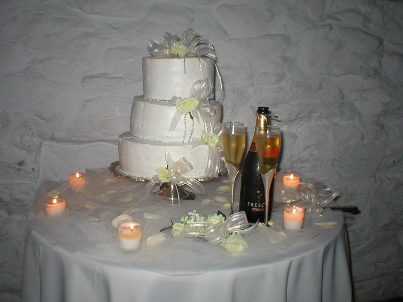 Angela & Guillermo's Wedding June 2004!!!