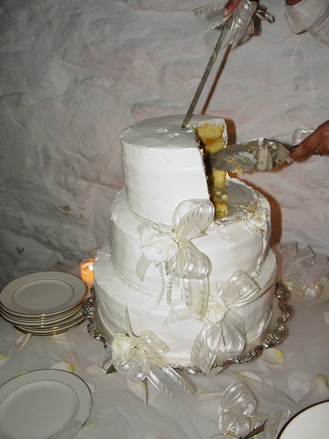 Angela & Guillermo's Wedding June 2004!!!