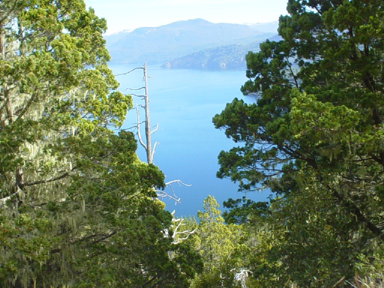 Argentina April 2003