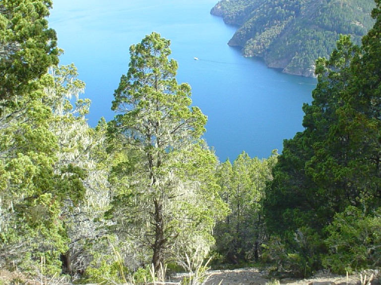 Argentina April 2003