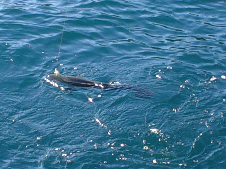 Argentina April 2003