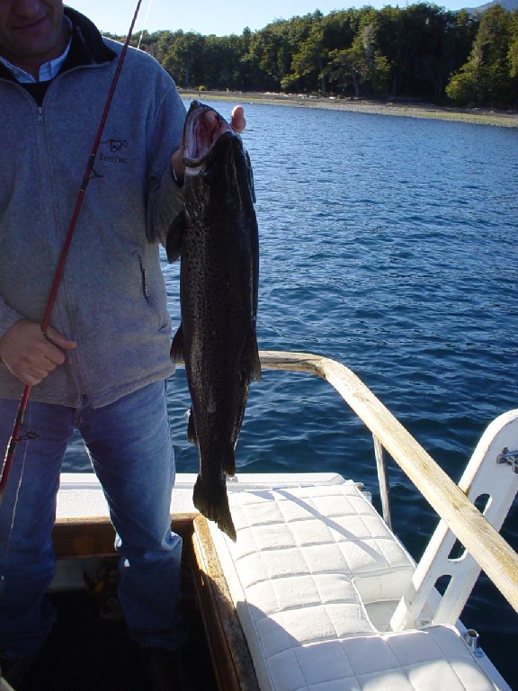 Argentina April 2003