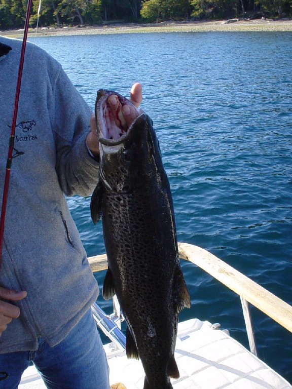 Argentina April 2003