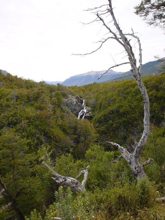 Argentina April 2003