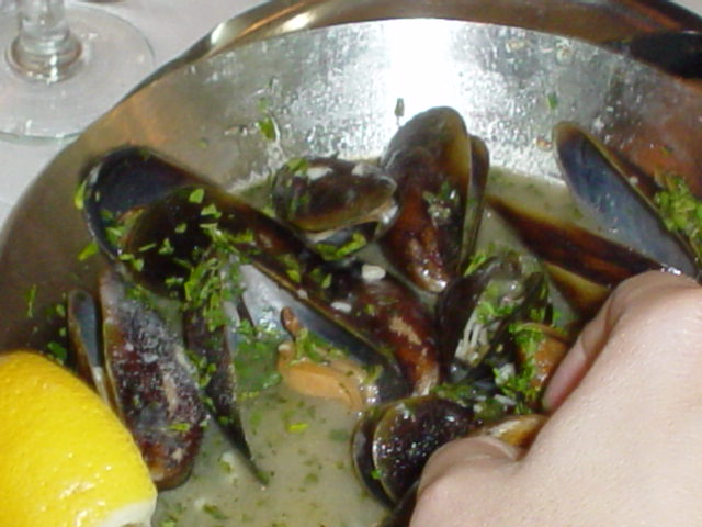 Argentina Aug-Sep 2004