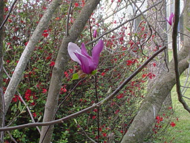 Argentina Aug-Sep 2004