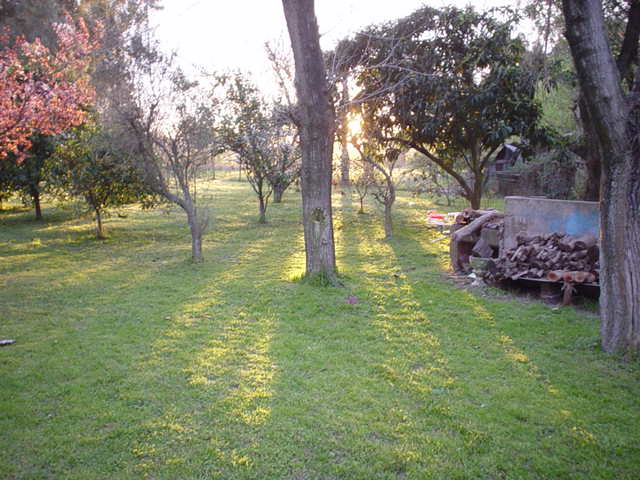 Argentina Aug-Sep 2004