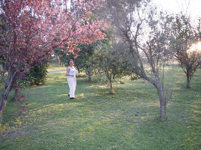 Argentina Aug-Sep 2004