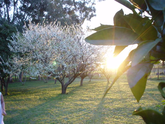 Argentina Aug-Sep 2004
