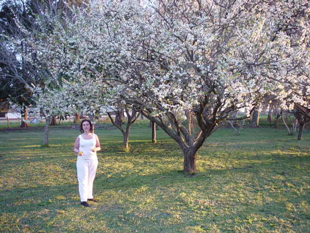 Argentina Aug-Sep 2004