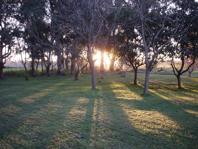 Argentina Aug-Sep 2004