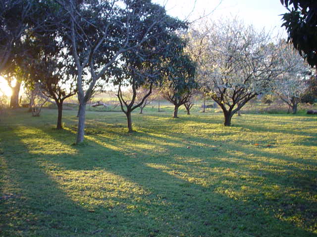 Argentina Aug-Sep 2004