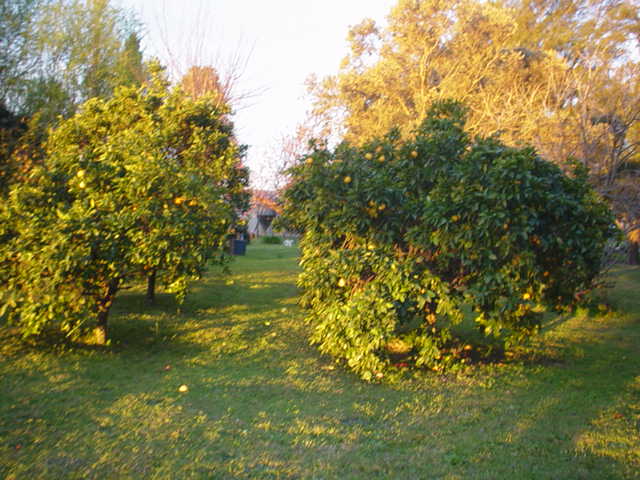 Argentina Aug-Sep 2004