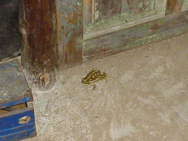 Argentina February 2004