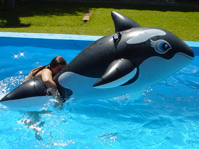 Argentina February 2004