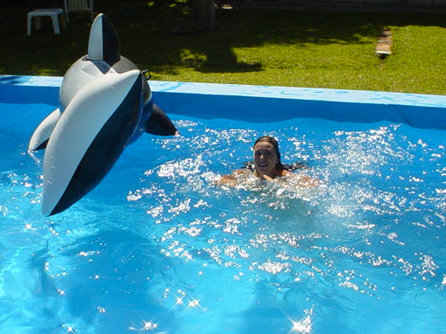 Argentina February 2004