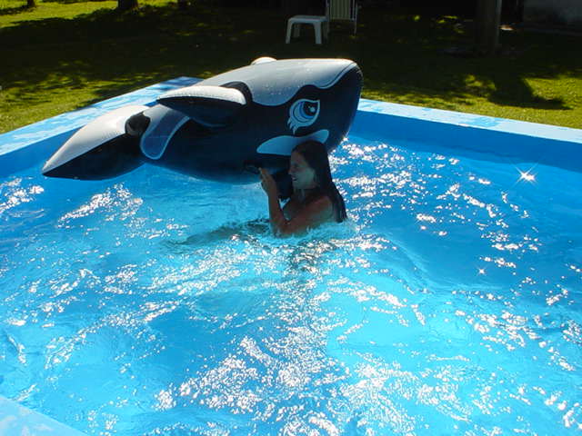 Argentina February 2004