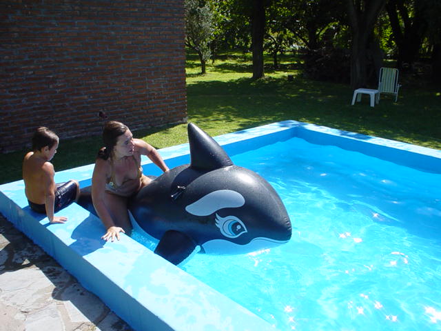 Argentina February 2004