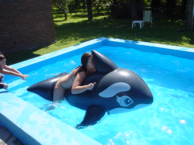 Argentina February 2004