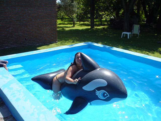 Argentina February 2004