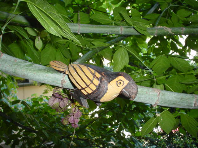 Argentina Nov 2005 - Empacando el Ultimo Dia