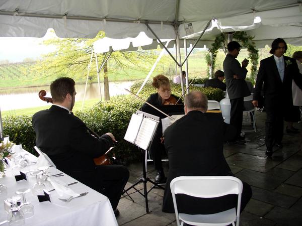 Betsy & Rob's Wedding