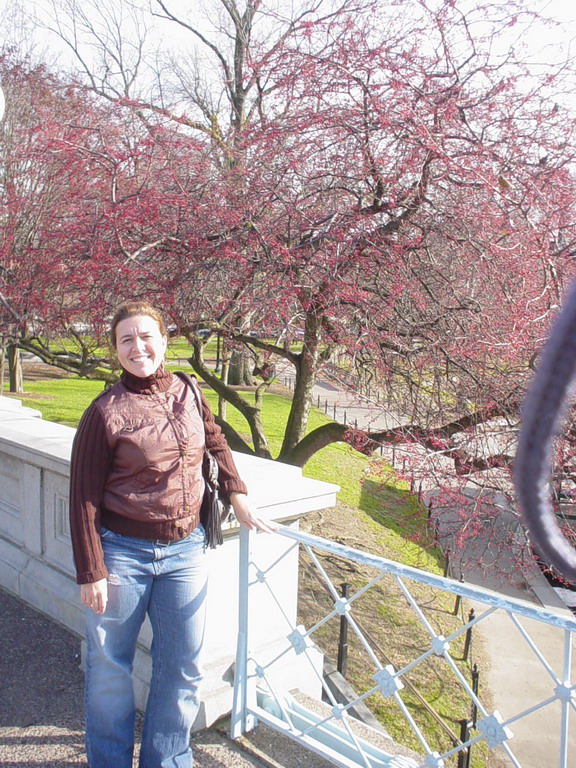 Boston November 2006