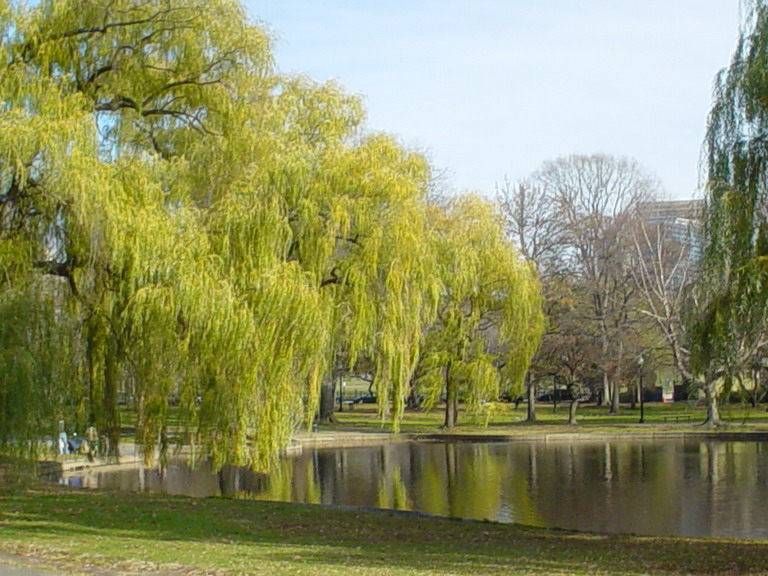 Boston November 2006