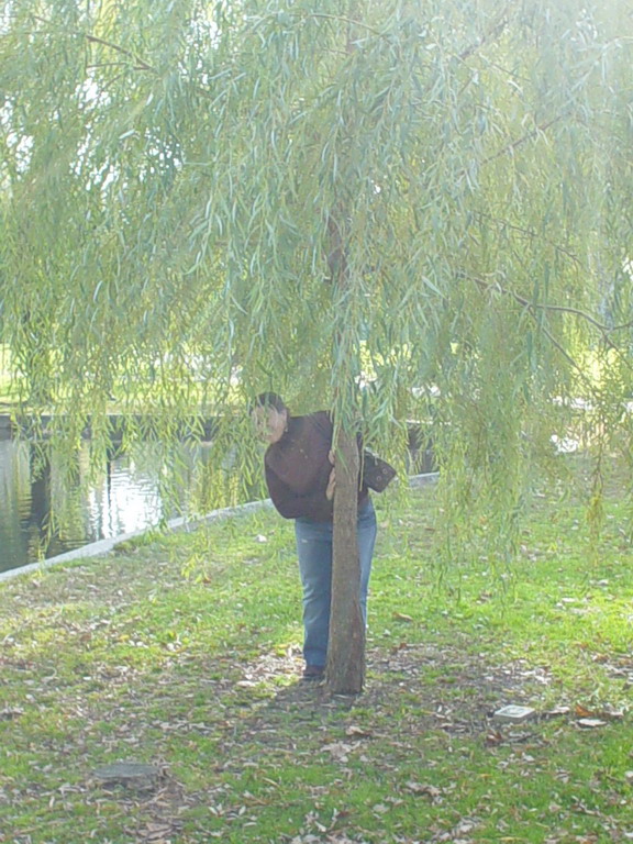 Boston November 2006