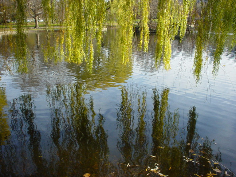 Boston November 2006