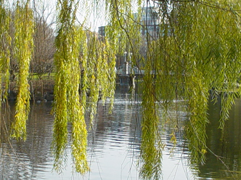 Boston November 2006