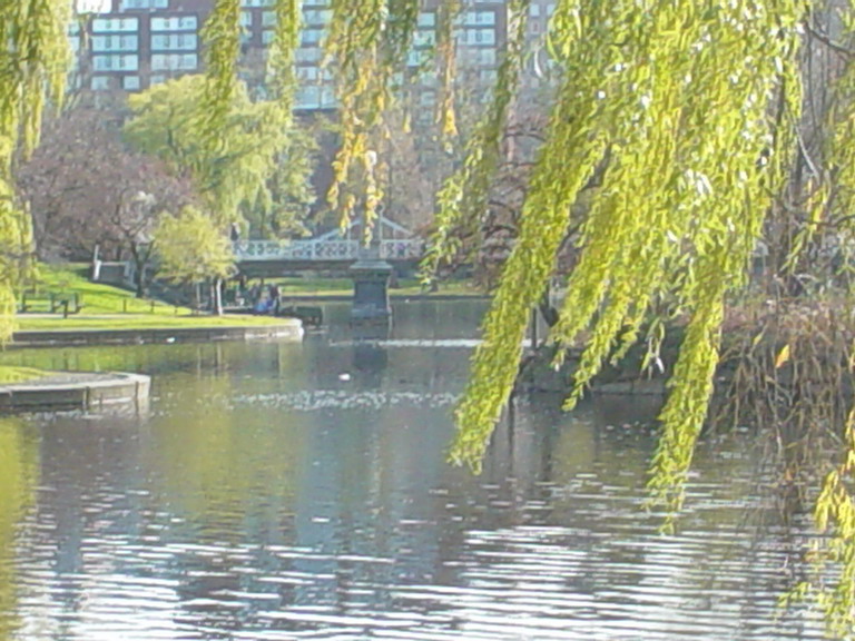 Boston November 2006