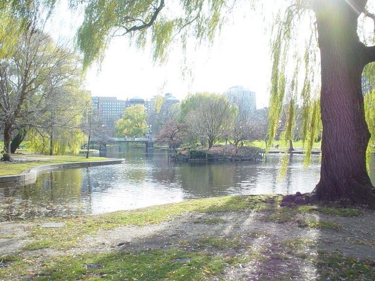 Boston November 2006