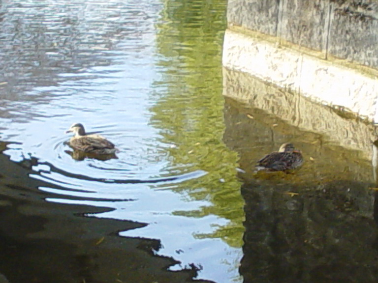 Boston November 2006