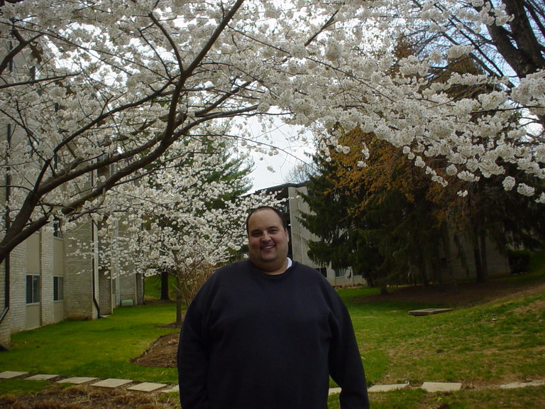 Cherry Blossom 2006