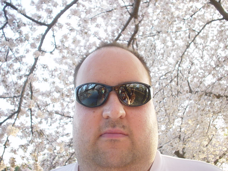 Cherry Blossom 2006