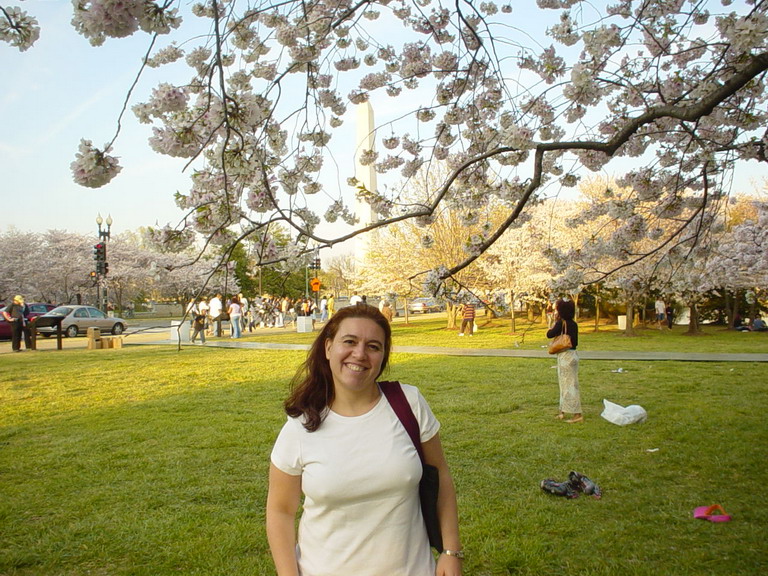Cherry Blossom 2006