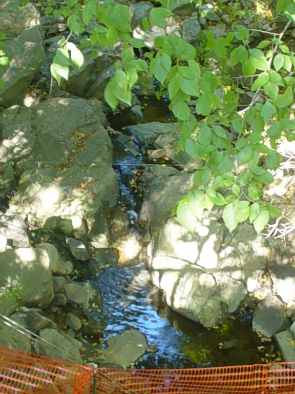 Glen Echo & Great Falls Parks Sep 2007