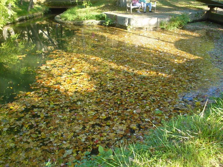 Glen Echo & Great Falls Parks Sep 2007