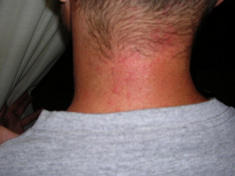 Guillermo's Birthday 2005