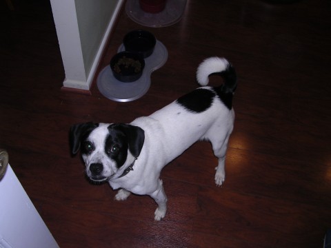 Jean Jose in DC Oct 2005