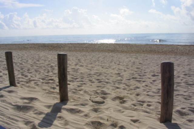 Josyanne & Christian's Wedding 2005