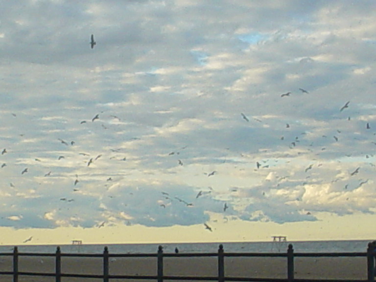 Lake Ontario