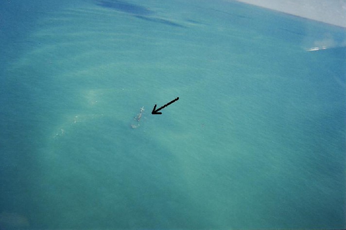 Martin In Venezuela Oct 2004