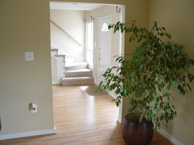 My 31st Birthday BBQ 2005