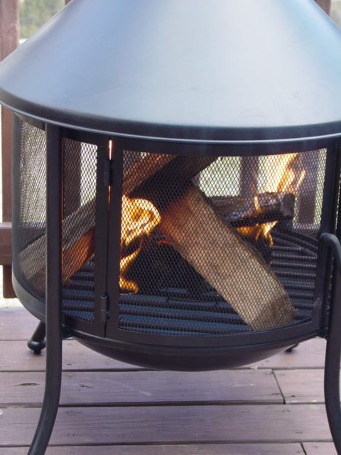 My 31st Birthday BBQ 2005