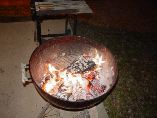 My 31st Birthday BBQ 2005