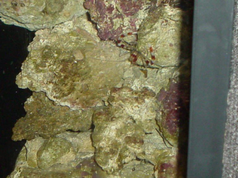 National Aquarium in Baltimore January 2006