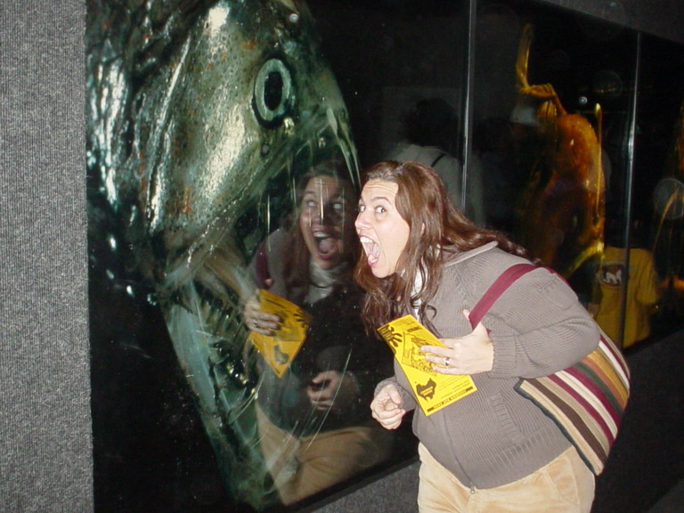 National Aquarium in Baltimore January 2006