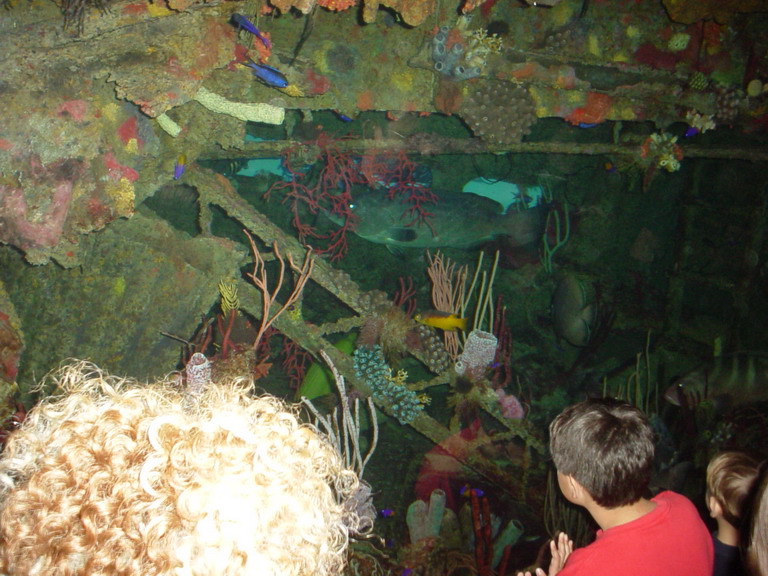 National Aquarium in Baltimore January 2006